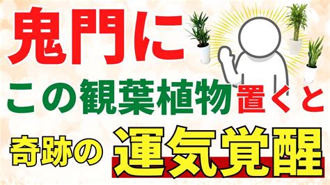 鬼門 植物|鬼門・風水対策の植物・植木は何がいい？ヒイラギや南天以外の。